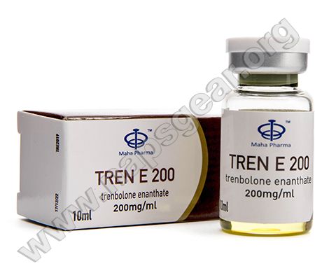 Tren E 200